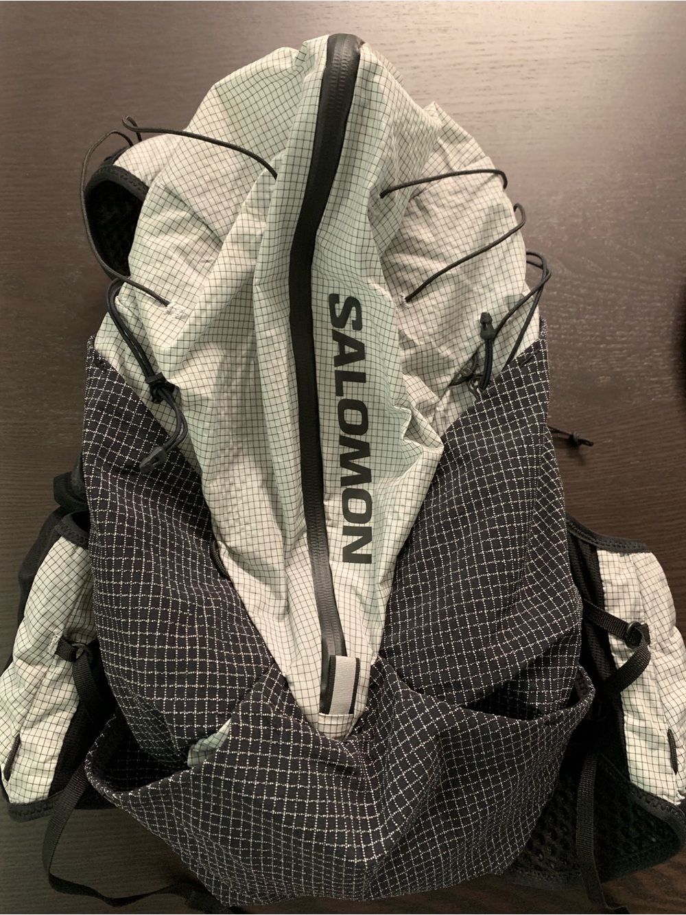 Salomon Black and Gray S-Lab Running Hydration Vest - Picture 8 of 10